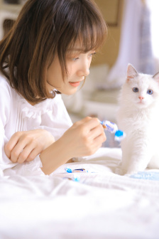 日本妻子